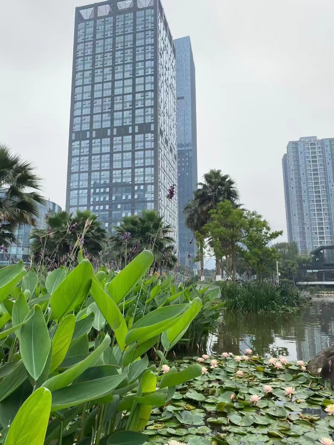 重庆财富大厦A栋出售出售财富大厦173平和316平两个户型项目一手税费