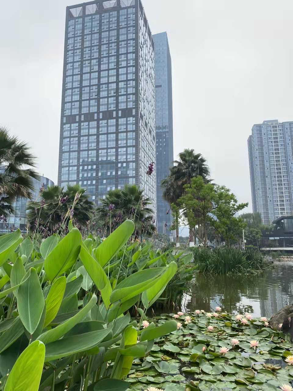 重庆渝北财富中心316平出售，低于市场价，购购购